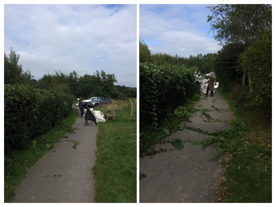Volunteers cutting back the hedges alongside paths